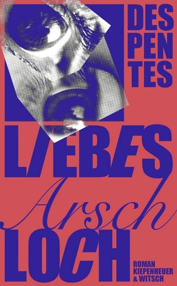 Buchcover Virginie Despentes Liebes Arschloch